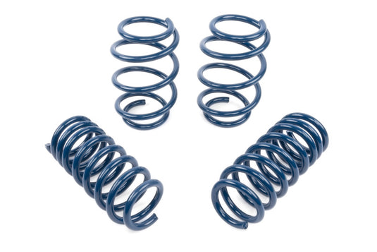 Dinan D100-0942 DNN Coil Springs