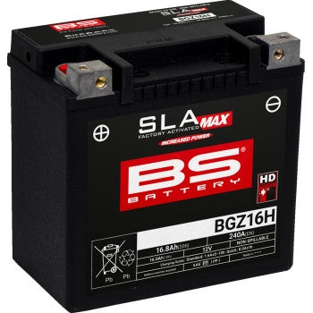 Bs Battery 300931 SLA Max Factory-Activated AGM Maintenance-Free Battery