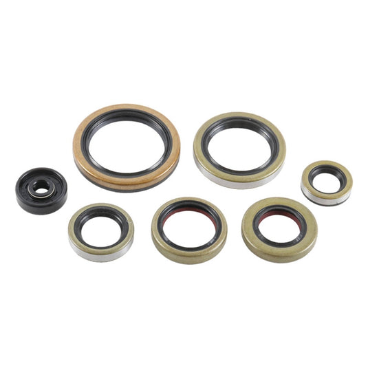 Vertex 822976 Oil Seal Kit