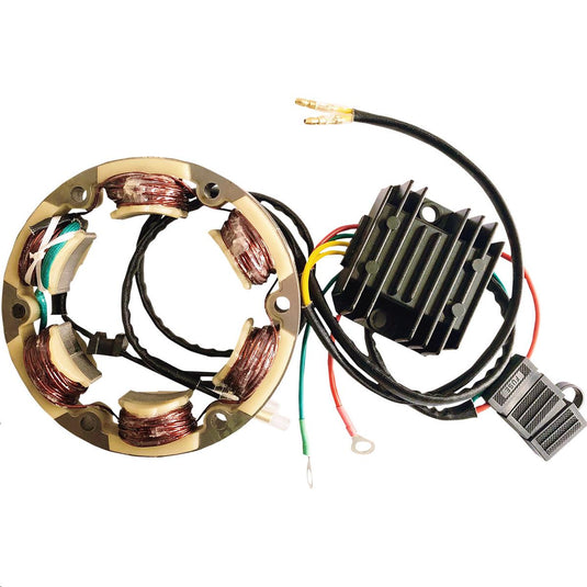 Ricks Motorsport Electric 14-99-101 Lithium-Ion Charging Kit