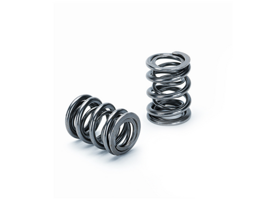 Supertech SPR-M1007D SPT Dual Valve Springs