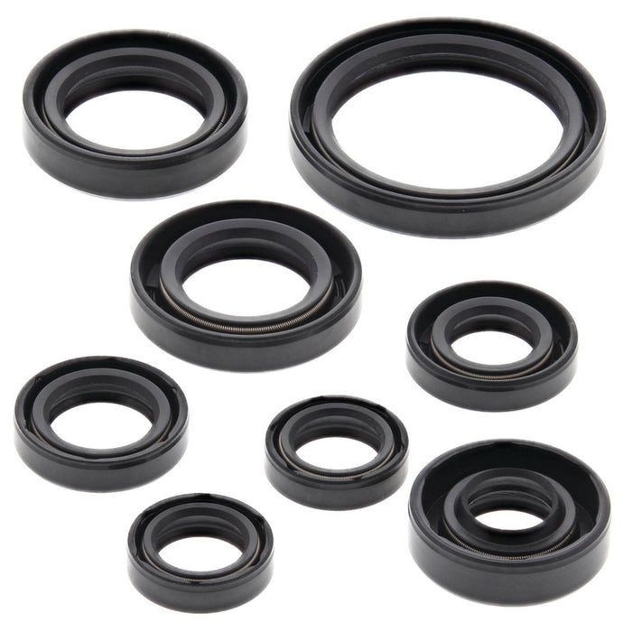 Vertex 822228 Oil Seal Kit