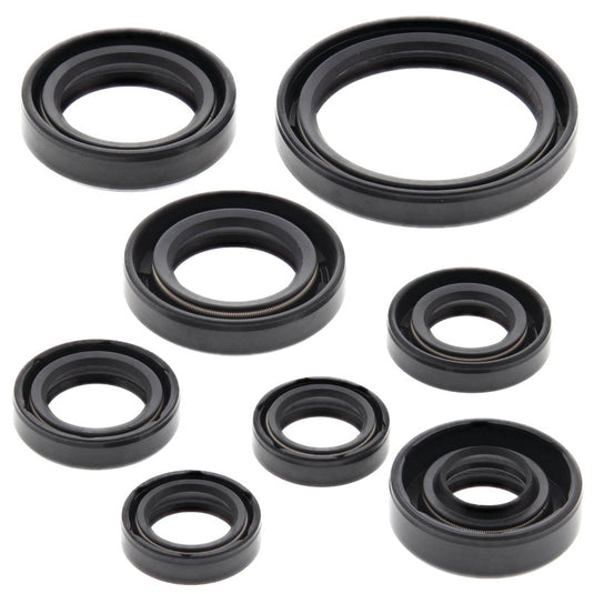Vertex 822228 Oil Seal Kit