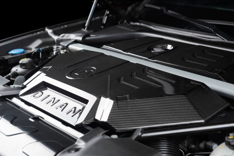 Load image into Gallery viewer, Dinan D590-0001 DNN Engine Covers
