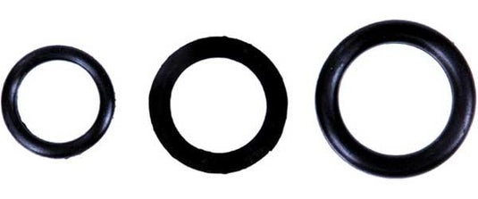 Sp1 06-179 10/PK Windshield O-Ring - 7/8in