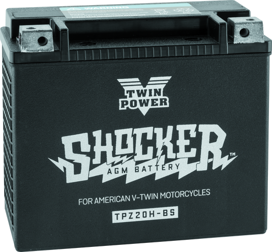 Twinpower 781153 TWP Shocker Batteries