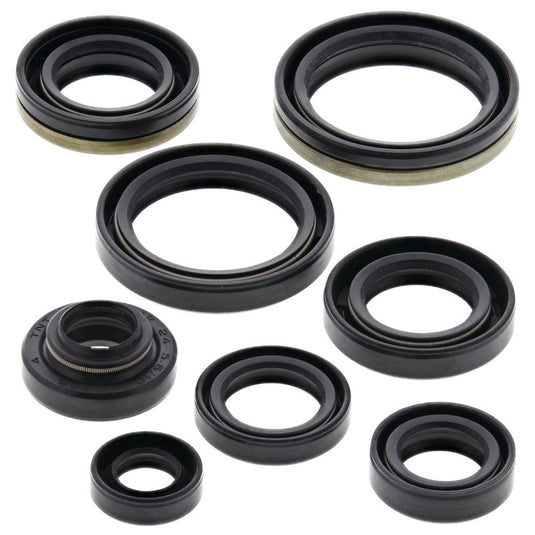 Vertex 822125 Oil Seal Kit