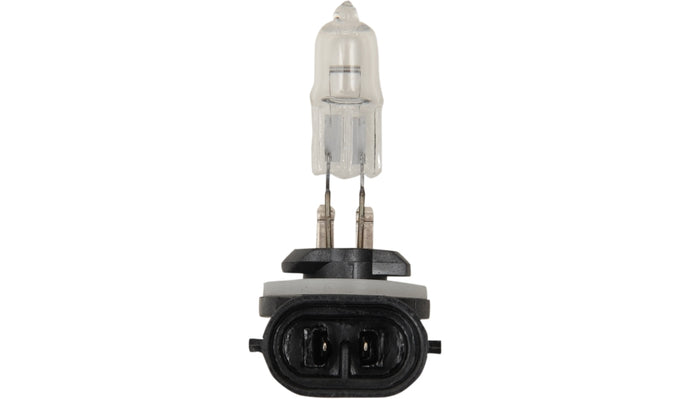 Peak Lighting 886-BPP Forward Lighting - 12V - 50W