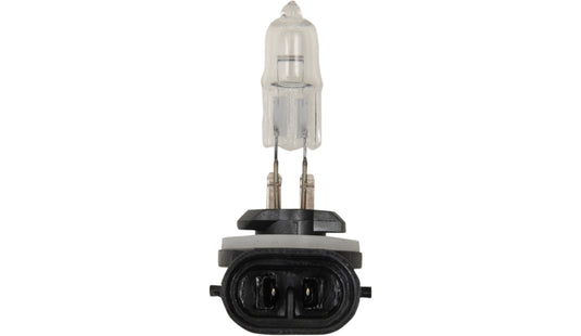 Peak Lighting 886-BPP Forward Lighting - 12V - 50W