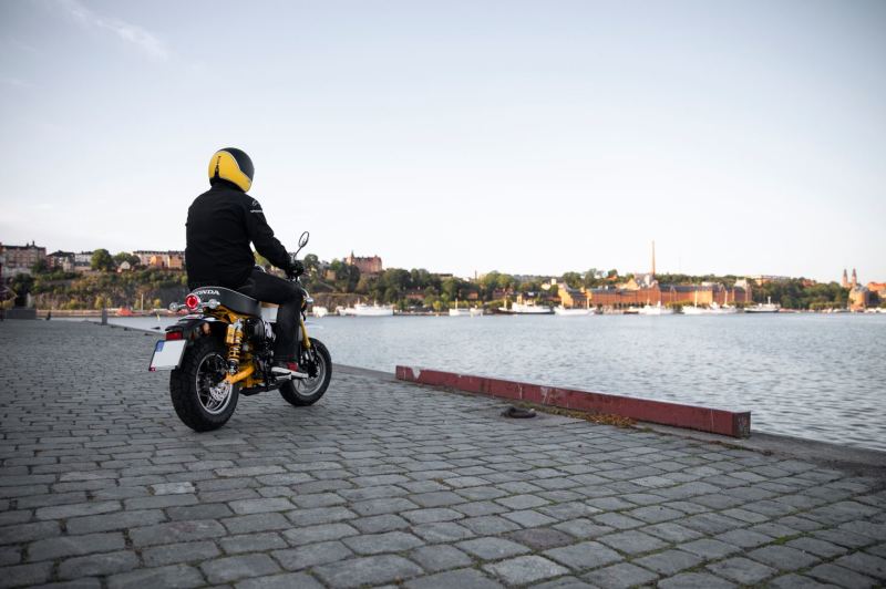 Load image into Gallery viewer, Ohlins HO 819 OHL STX 36 Scooter
