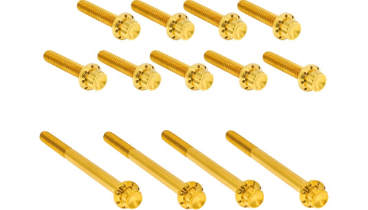 Arlen Ness 300-991 12 Point Primary Bolt Kit - Gold