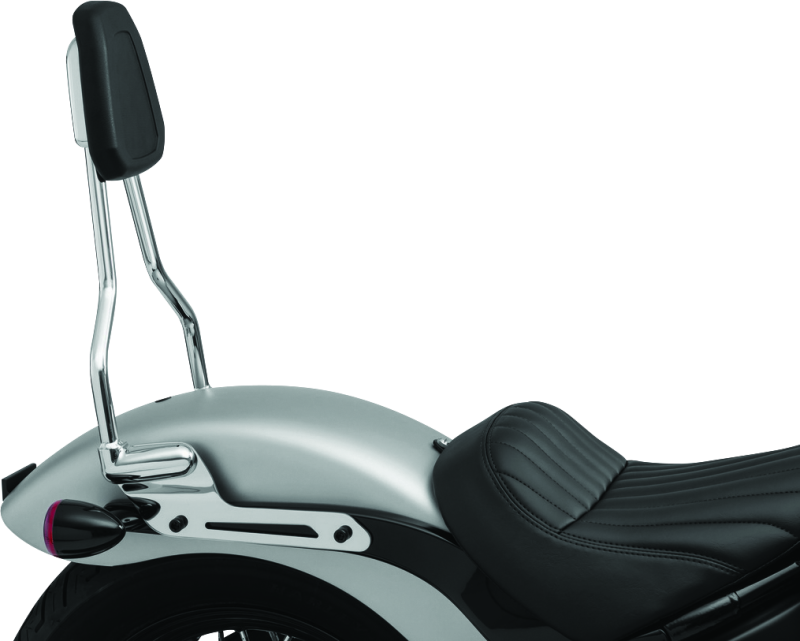 Load image into Gallery viewer, Kuryakyn 6587 KUR Sissy Bars
