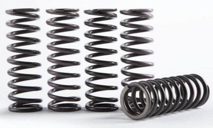 Hinson Racing CS294-5-0109 Hi-Temp Clutch Spring Kit