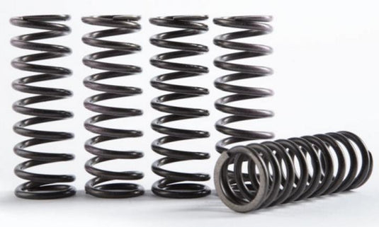 Hinson Racing CS294-5-0109 Hi-Temp Clutch Spring Kit