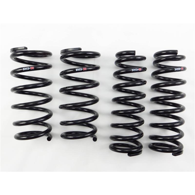 Load image into Gallery viewer, Rs-R T197D RSR Down Sus Springs
