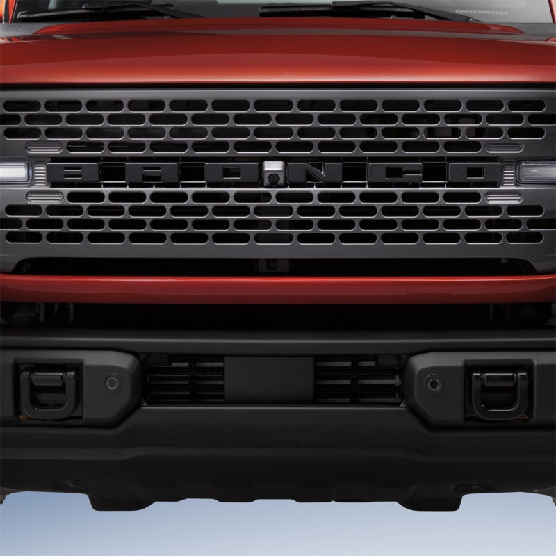 Load image into Gallery viewer, Ford Racing M-1447-BLMB FR Badges
