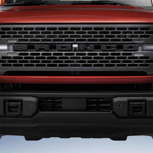 Ford Racing M-1447-BLMB FR Badges