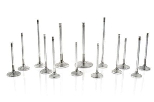 Ferrea F2430P FER Comp Plus Exh Valve - Sets