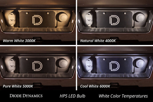 Diode Dynamics DD0024P DIO Replacement Bulbs