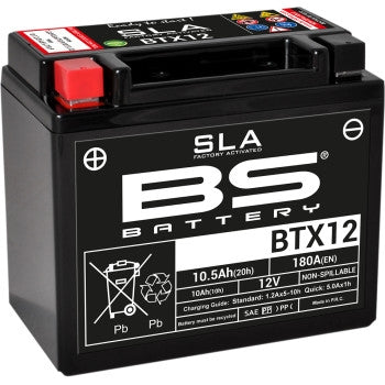 Bs Battery 300680 SLA Factory-Activated AGM Maintenance-Free Battery