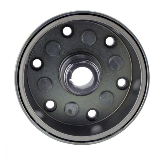 Rm Stator RMS120-108061 Magneto Flywheel Rotor
