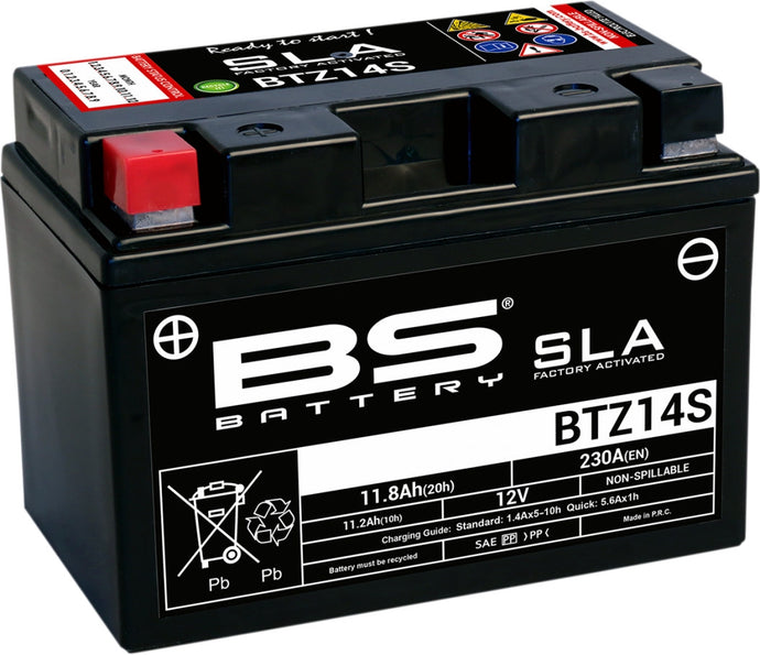 Bs Battery 300638-1 SLA Factory-Activated AGM Maintenance-Free Battery