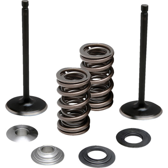Moose Offroad M80-83150 Stainless Valve and Spring Kit - Intake