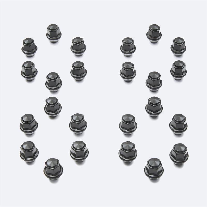 Load image into Gallery viewer, Ford Racing M-1012K-BR FR Lug Nut Kits
