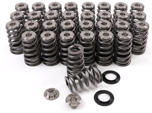 Gsc Power Division 5010 GSC Valve Spring Kits