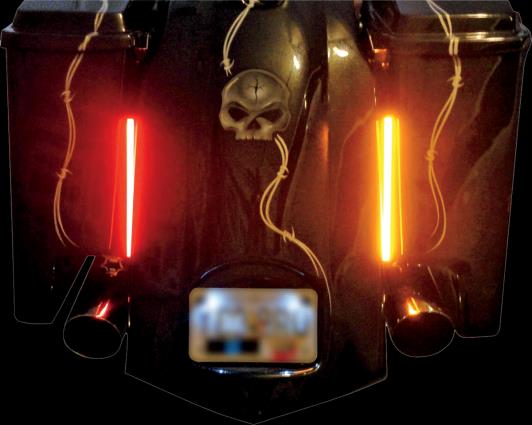 Custom Dynamics MPLASMA10REDPR Plasma Rods - 10in. (pr.)