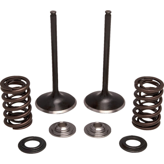 Moose Offroad M30-34250 Stainless Valve and Spring Kit - Intake