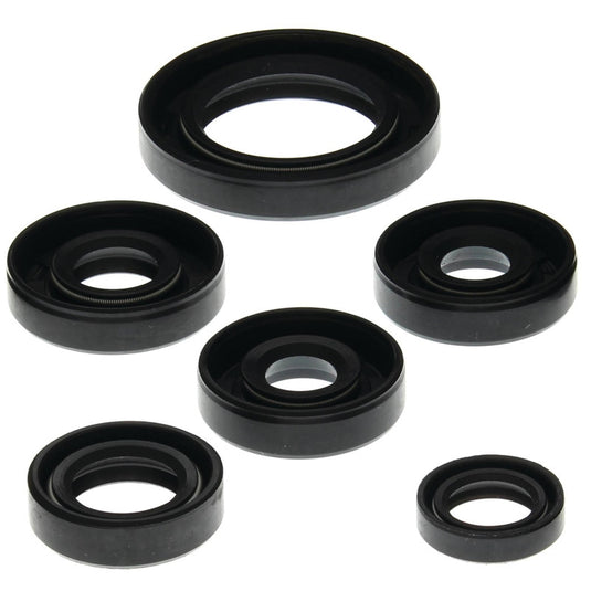 Vertex 822203 Oil Seal Kit
