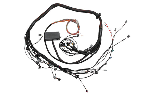 Haltech HT-130318 HAL Elite 2000/2500 Term Harns