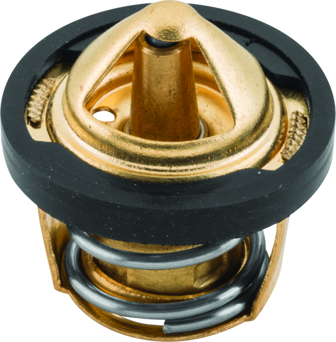 Quadboss 403168 QBS Thermostats B