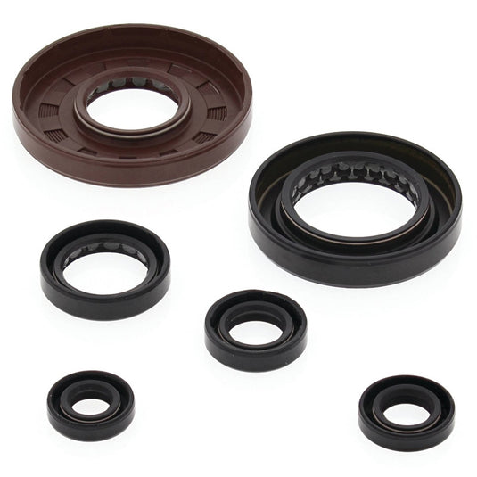 Vertex 822276 Oil Seal Kit