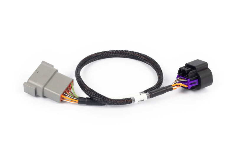 Load image into Gallery viewer, Haltech HT-186506 HAL NEXUS Rebel LS Adaptors
