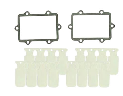 Spi SM-07301 Reed Valve Rebuild Kit