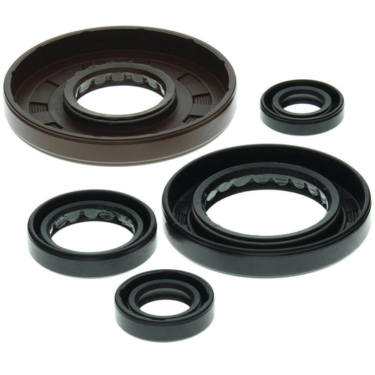Vertex 822208 Oil Seal Kit