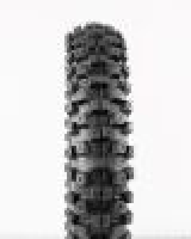 Load image into Gallery viewer, Protaper 023318 PTR MXT 04 Tire
