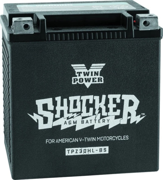 Twinpower 781156 TWP Shocker Batteries
