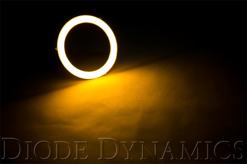 Load image into Gallery viewer, Diode Dynamics DD2060 DIO Halo Ring Bulb
