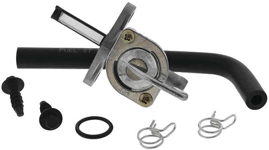 Fuel Star FS101-0166 Fuel Valve Kit