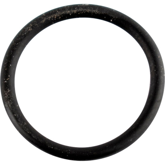 Wsm 008-599-27 Cam Sensor O-Ring