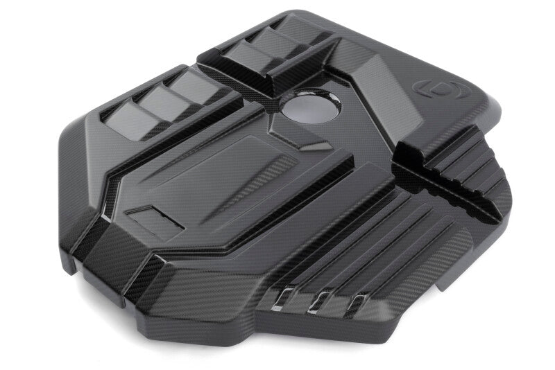 Load image into Gallery viewer, Dinan D590-0005-B DNN Engine Covers
