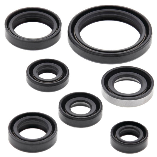 Vertex 822193 Oil Seal Kit