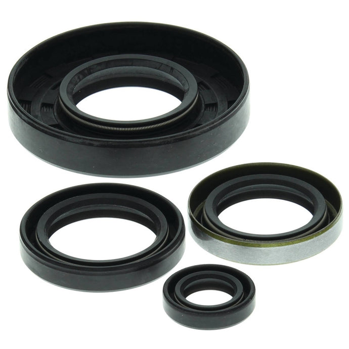 Vertex 822169 Oil Seal Kit