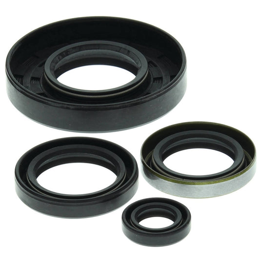 Vertex 822169 Oil Seal Kit