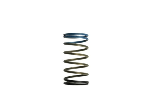 Turbosmart TS-0502-2004 TS Wastegate Springs