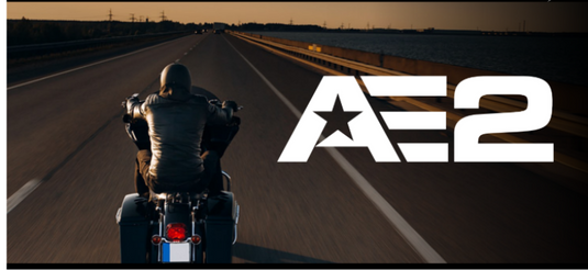 Dunlop 45252454 DUN AE2 Tires