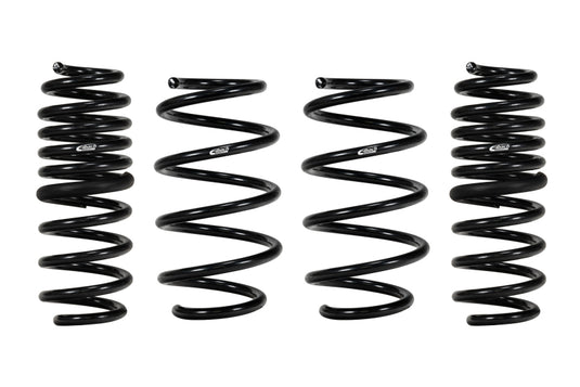 Eibach E10-46-038-02-22 EIB Pro-Kits